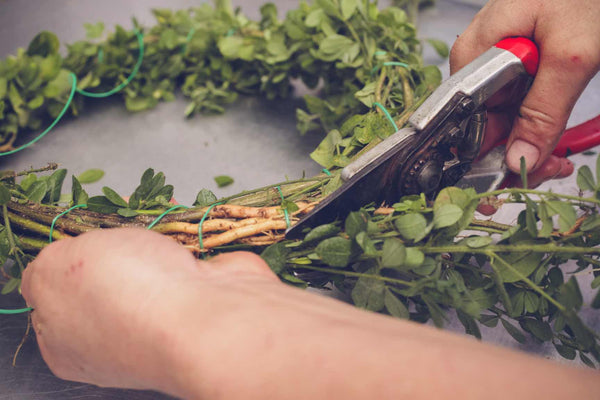 Seasonal Wreath Making Class