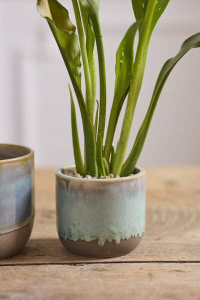 Caribe Pot